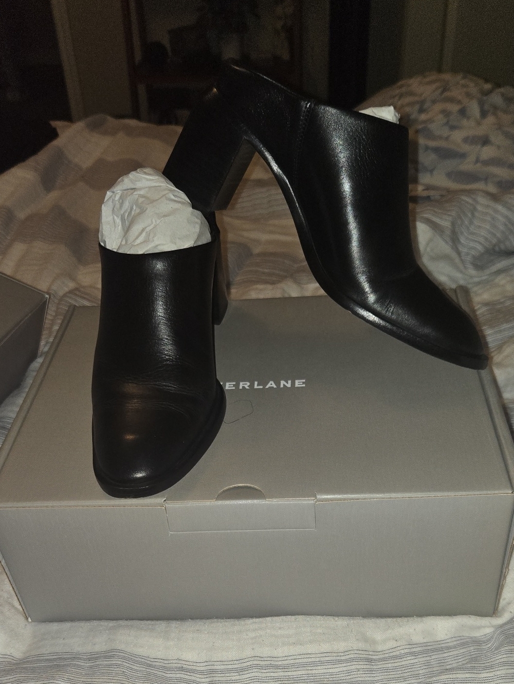 Everlane Black Italian Leather Slip-On Block Heel Mules